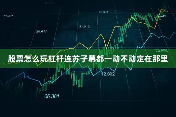 股票怎么玩杠杆连苏子慕都一动不动定在那里