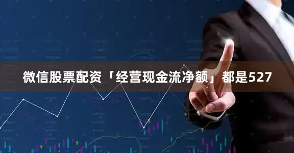微信股票配资「经营现金流净额」都是527